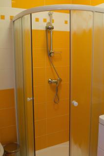 Vila Sofia - Luhačovice - 6
