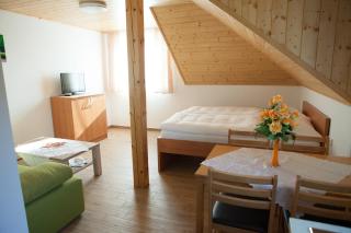 Vila Sofia - Luhačovice - 3