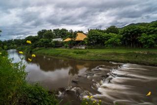 Canary Guesthouse - Pai - 1
