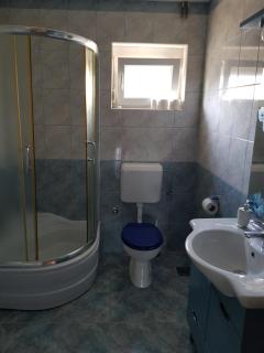 Apartman Kosic with a large pool - 6