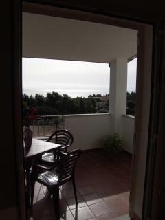 Corallo - 5