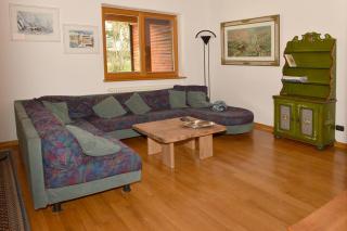 Andalo Chalet - Andalo - 1