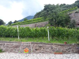 Agriturismo Ruc del Lac - Darfo Boario Terme - 8