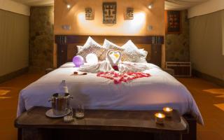 Zaina Lodge - Mole - 2