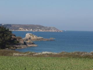 les volets bleus, 100m de la plage - Camaret-sur-Mer - 6