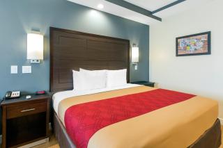 Econo Lodge Inn & Suites Houston Willowbrook - Houston - 4