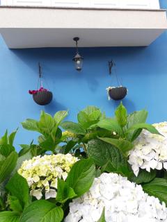 Besbello Suites - Apartamento - Santiago de Compostela - 9