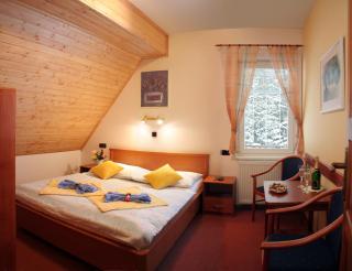 Pension Harrachov - Harrachov - 3