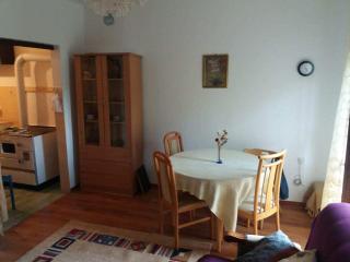 Apartman Trninic - Podrašnica - 5