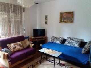 Apartman Trninic - 2