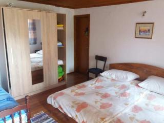 Apartman Trninic - 1