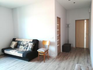 Kuldiga Kalna Apartment - Kuldīga - 2