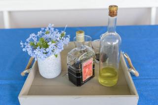 Vacation House Bile - 4