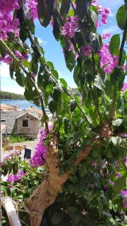 Rooms Roza - Vrboska - 9