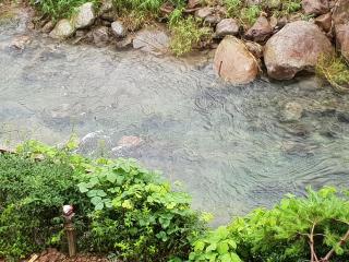 Jirisan One Night Two Days Pension - Gurye - 1