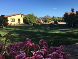 Agriturismo Sechi - Campanedda - 8