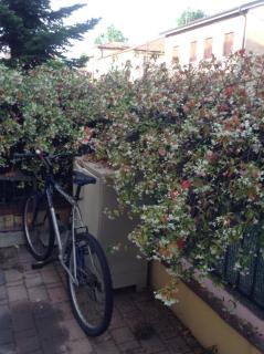 Residenza Ducale - 8