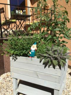 Waldgasthof & Hotel Alberthöhe - 4