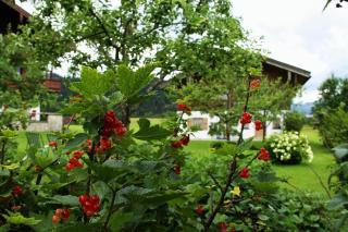Menkenhof - Reit im Winkl - 6