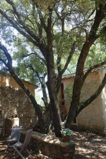 Le clos des collines - Saint-Martin-de-Brômes - 2