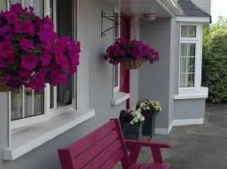The Well Bed & Breakfast - Clonakilty - 5