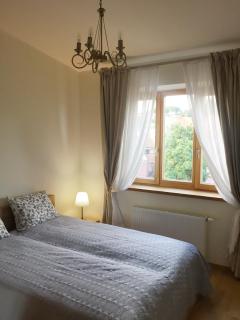 Nemunas Street Apartment - 0