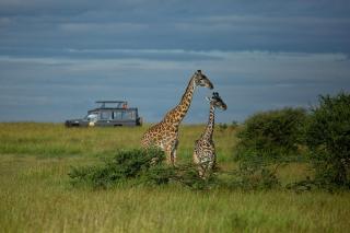 Pumzika Luxury Safari Camp - Banagi - 6