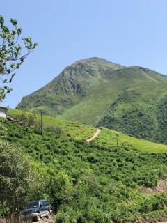 Hotel SHIBI - 4