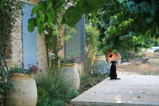Les Vignes de Terrisse - Entrecasteaux - 9