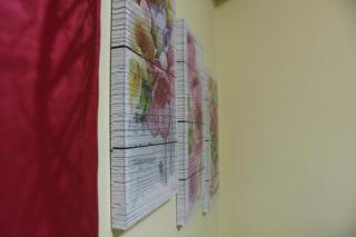 Hotel Diana - Cassino - 5