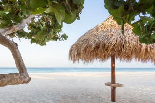 Manchebo Beach Resort and Spa - Palm-Eagle Beach - 3