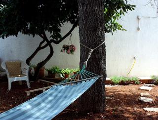 Patty green house - Castellana Grotte - 4
