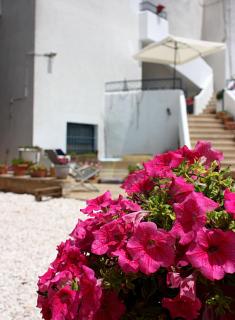 Patty green house - Castellana Grotte - 5