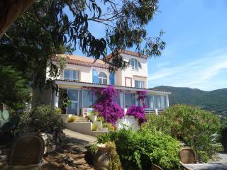 Azur Hotel - Le Lavandou - 5