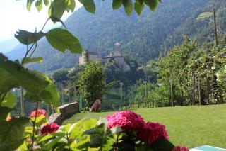 Villa Falkner - 2