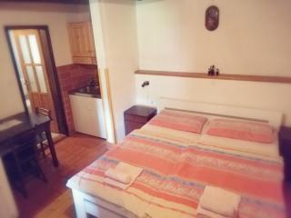 Guest House Turistična kmetija Plaznik - Ljubno - 2
