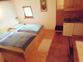 Guest House Turistična kmetija Plaznik - Ljubno - 9