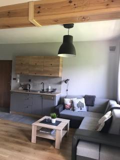 ApartamentyPodZakopanem.PL - Murzasichle - 2
