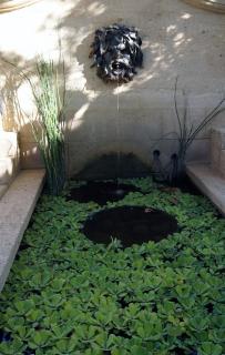 La Villa Mazarin - Aigues-Mortes - 1