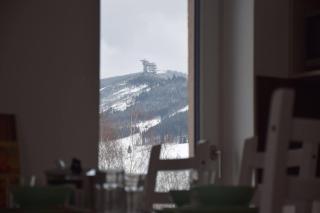 Apartmán Dolní Morava - Dolní Morava - 5