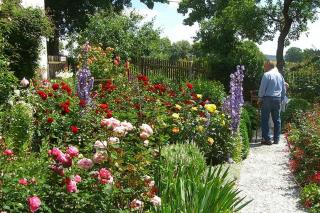 Landhausgarten Bunzmann - 8