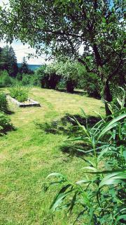 La Boissellerie - Saulxures-sur-Moselotte - 4