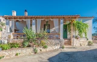 Sempreviva - Agios Leon - 0