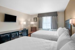 Econo Lodge Inn & Suites - Springfield - 3