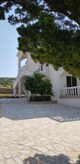 Apartmani Ivanka Simuni - Šimuni - 9