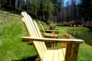 Asheville Cabins of Willow Winds - Asheville - 3