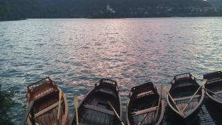 Pletna Lake View Apartment (Ground Floor) - Bled - 1