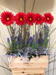 Gaia House - Oristano - 5