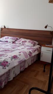 Apartment Blagojevic - 3