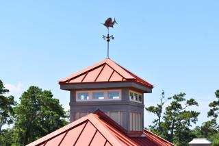 Willow Lodge - Myrtle Beach - 5